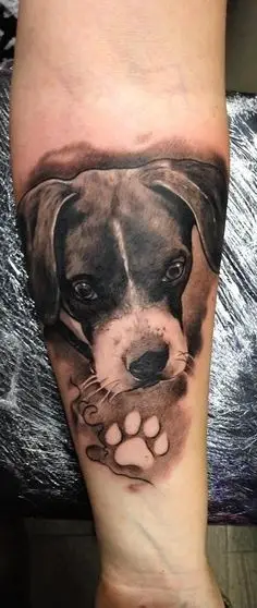 pet-tattoo13