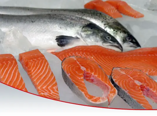 salmon_home