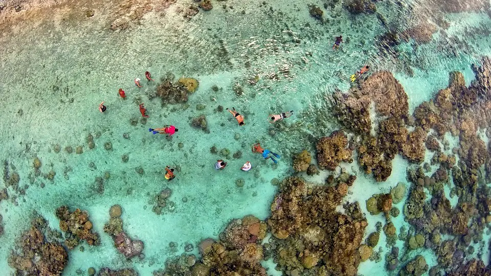 Snorkeling-in-the-coral-garden-of-Taha’a-lagoon-Marama-Photo-Video