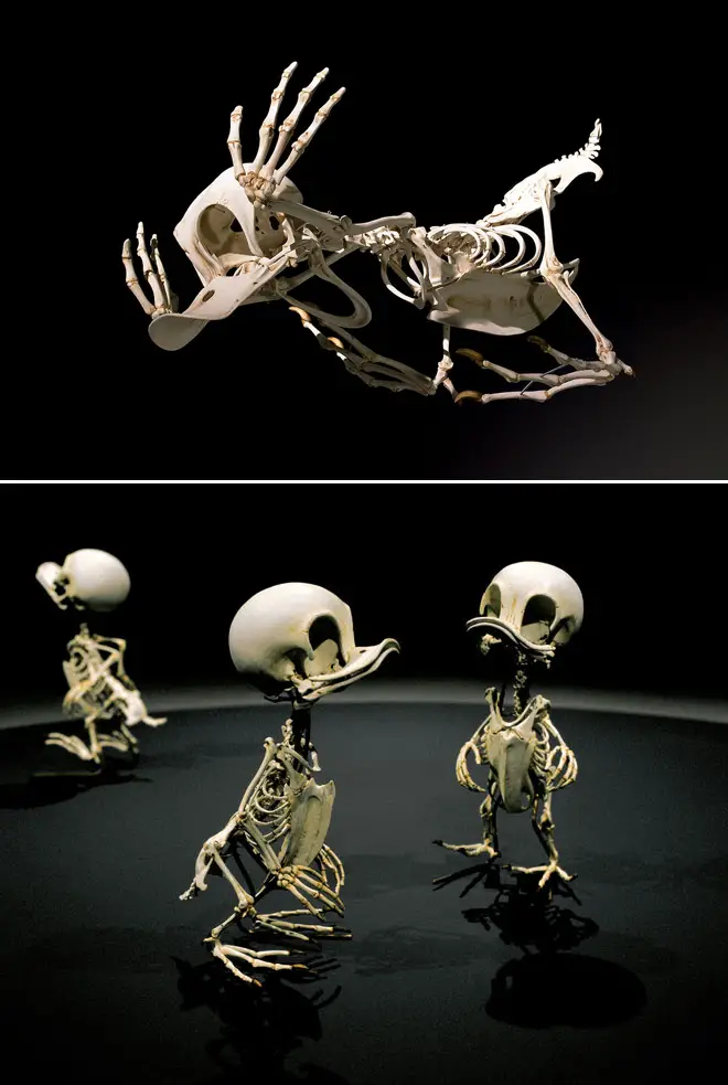 esqueletos-animados-5