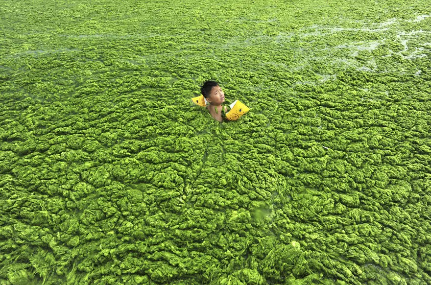 Berniukas plaukia dumblių užpildytoje Qingdao pakrantėje