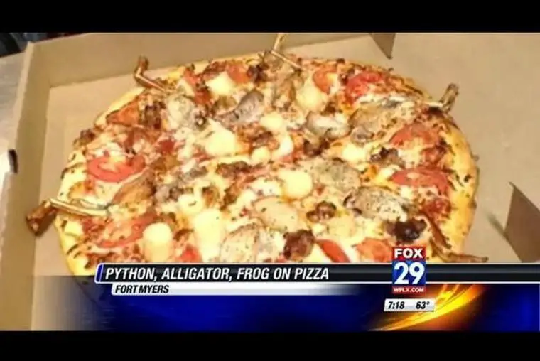 9_piton-pizza