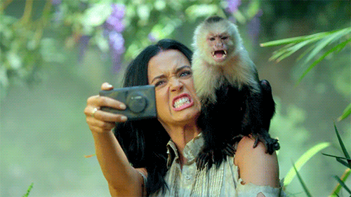 Katy-Perry-Roar-Monkey-Selfie