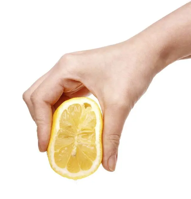 usos-limon13