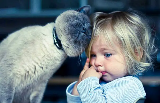 kids-with-cats-13__605