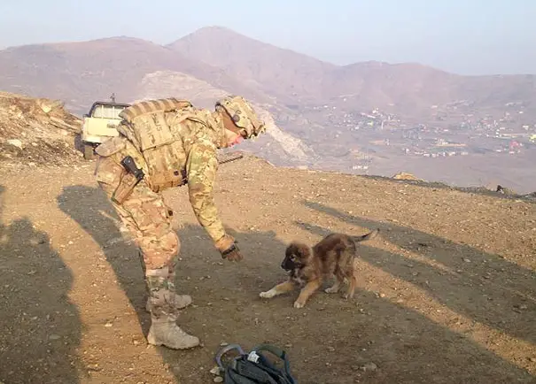soldier-with-pet-15__605