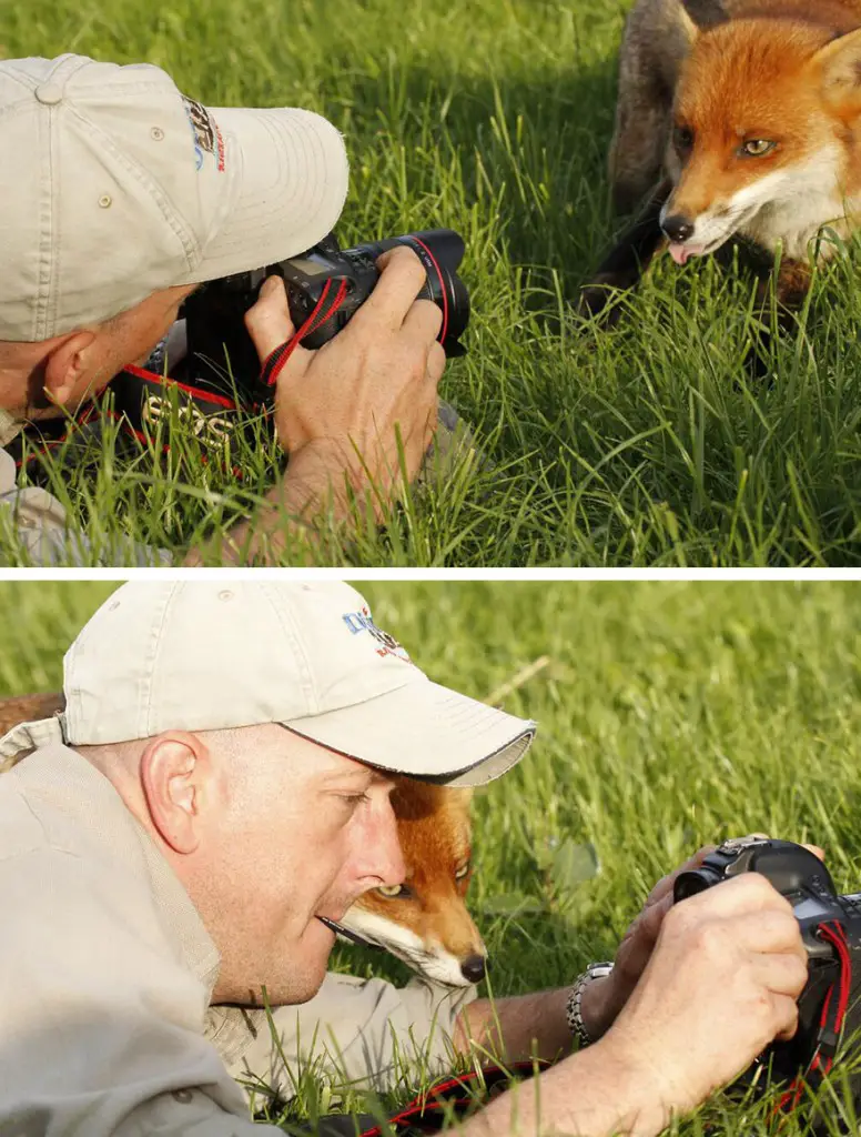 animals-with-camera-helping-photographers-31__880