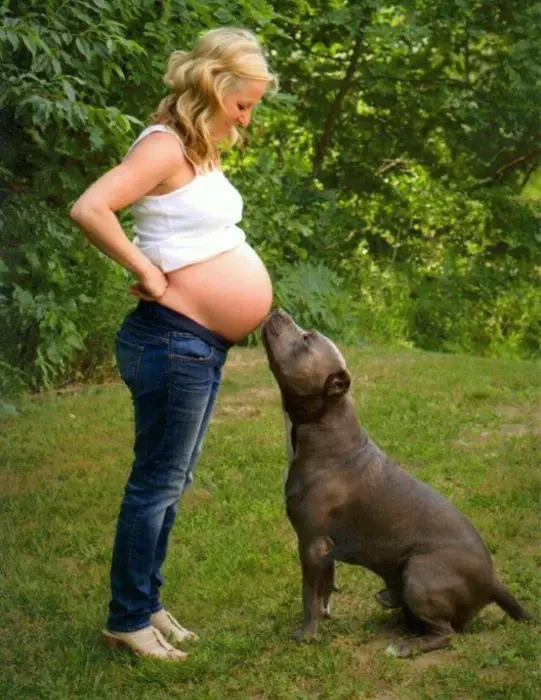 perros-y-embarazadas-15-541x700