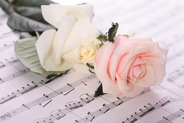 Flores-e-música