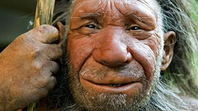 neanderthals--644x362