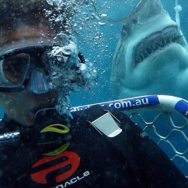 these_extreme_selfies_are_a_little_insane_640_03