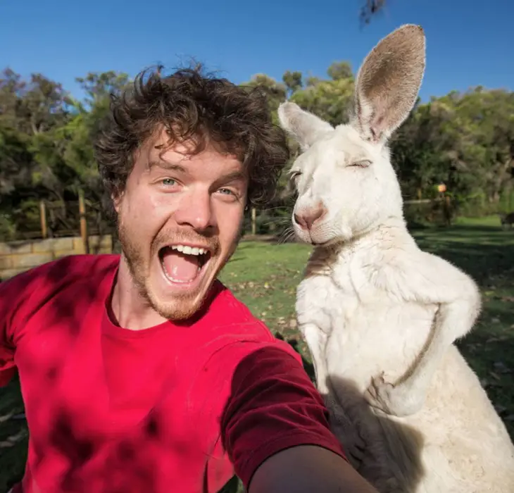 Hombre-se-toma-selfies-con-animales-2-730x700