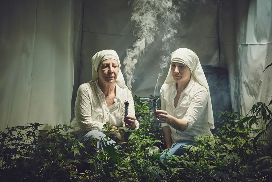 monjas-hermanas-valle-cultivo-marihuana-medicinal-12
