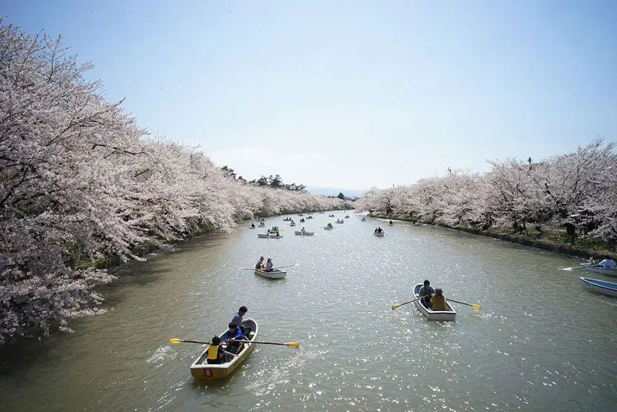 primavera-flores-cerezo-sakura-japon-national-geographic-15