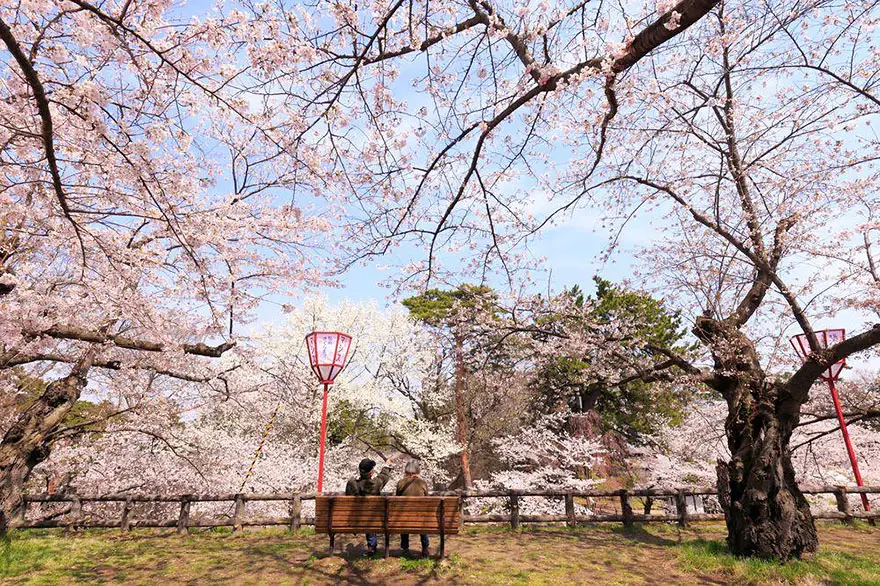 primavera-flores-cerezo-sakura-japon-national-geographic-7