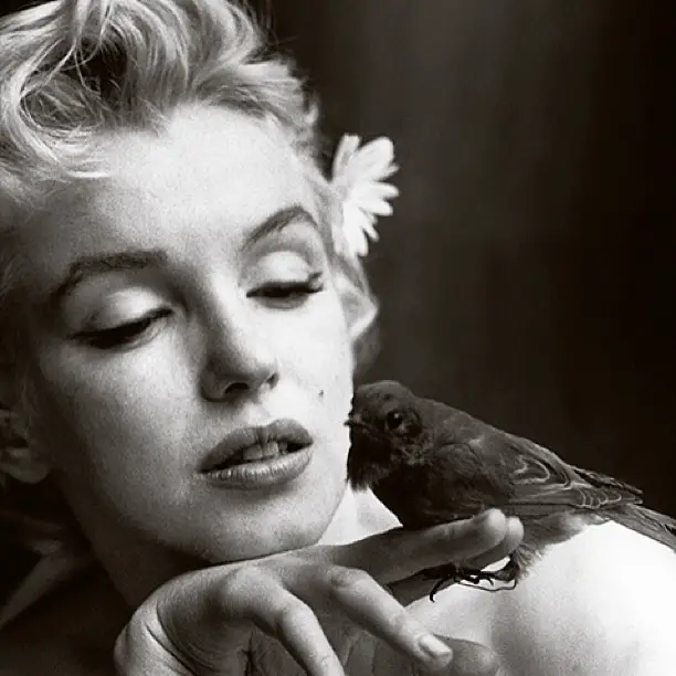 6-cosas-terribles-y-trágicas-que-no-sabías-de-Marilyn-Monroe-4