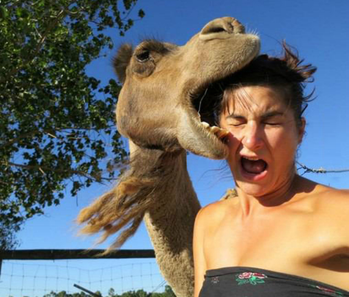 Camel-Biting-Girl-Head-Funny-Picture