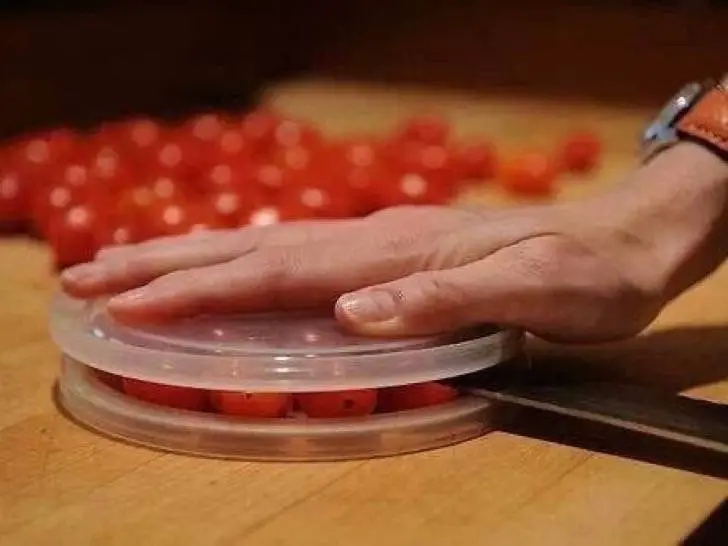 6-holding-cherry-tomatoes-between-two-tupperware-lids-wont-make-them-easier-to-cut-2