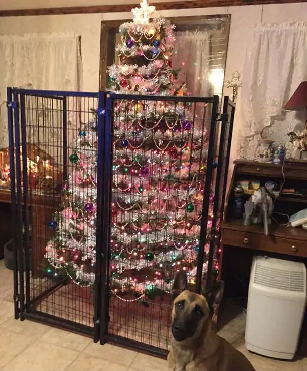 protecting-christmas-tree-from-dogs-cats-pets-34-585a917f50d3b__605