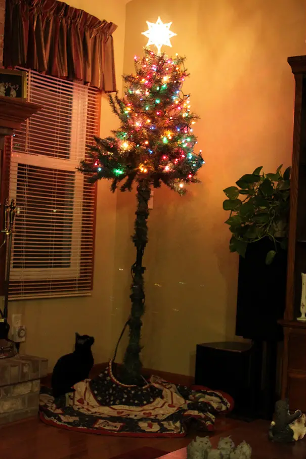 protecting-christmas-tree-from-dogs-cats-pets-5-585a660de18de__605