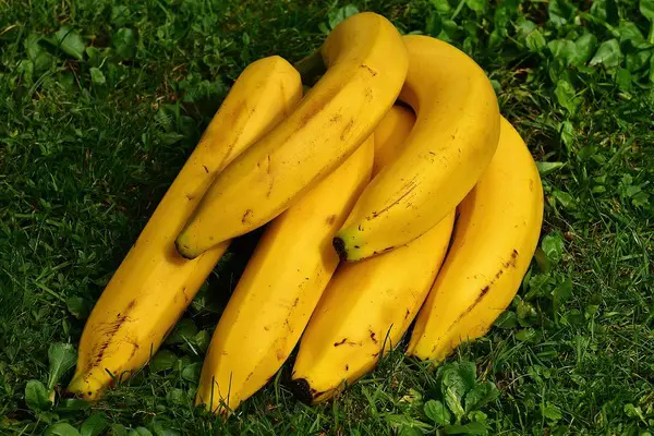 bananas-1642706_960_720