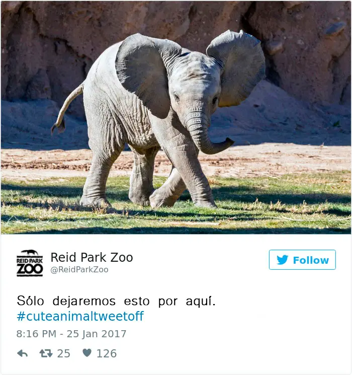 zoo15