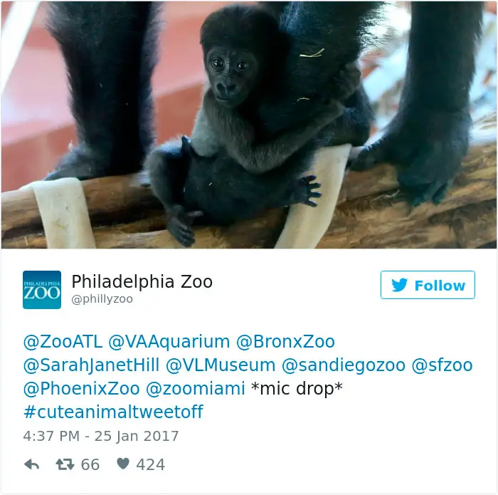zoo7