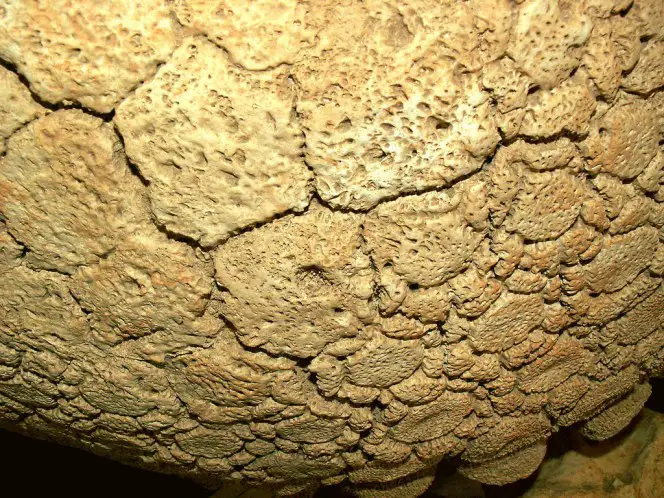 un-descubrimiento-de-mas-de-10-000-anos-de-antiguedad-tiene-locos-a-los-cientificos-en-argentina-1477483644