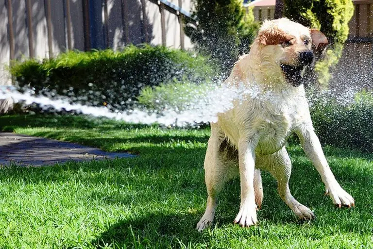 20 Cosas que te harán recordar tus vacaciones de verano cuando eras un
