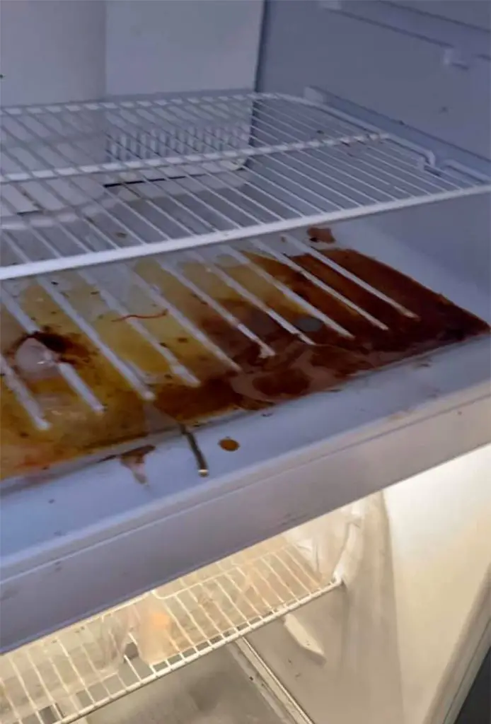 Este propietario comparte fotos para explicar por qué los alquileres y