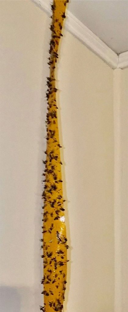 Este propietario comparte fotos para explicar por qué los alquileres y