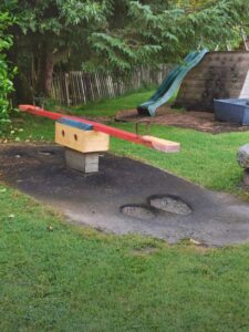 17 Personas comparten hallazgos realmente inusuales | Difundir.ORG